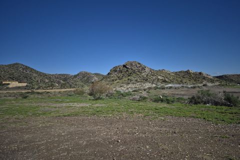 Bauernhof in Pilar De Jaravia, Almeria - Foto 3